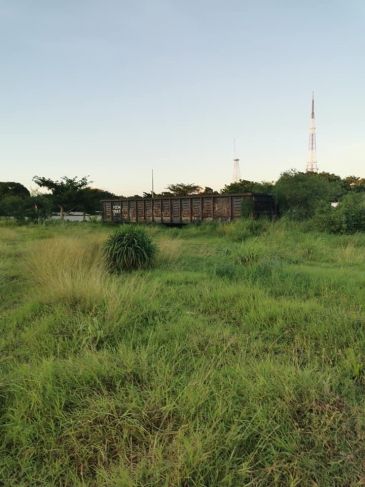 Colectivo celebra que Tren Maya ya no pase por La Plancha